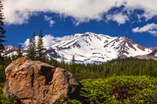 Mt. Shasta-3263.jpg